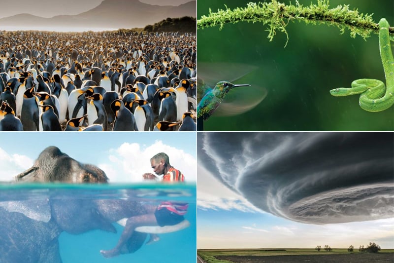 National Geographic spotlights extraordinary photography as