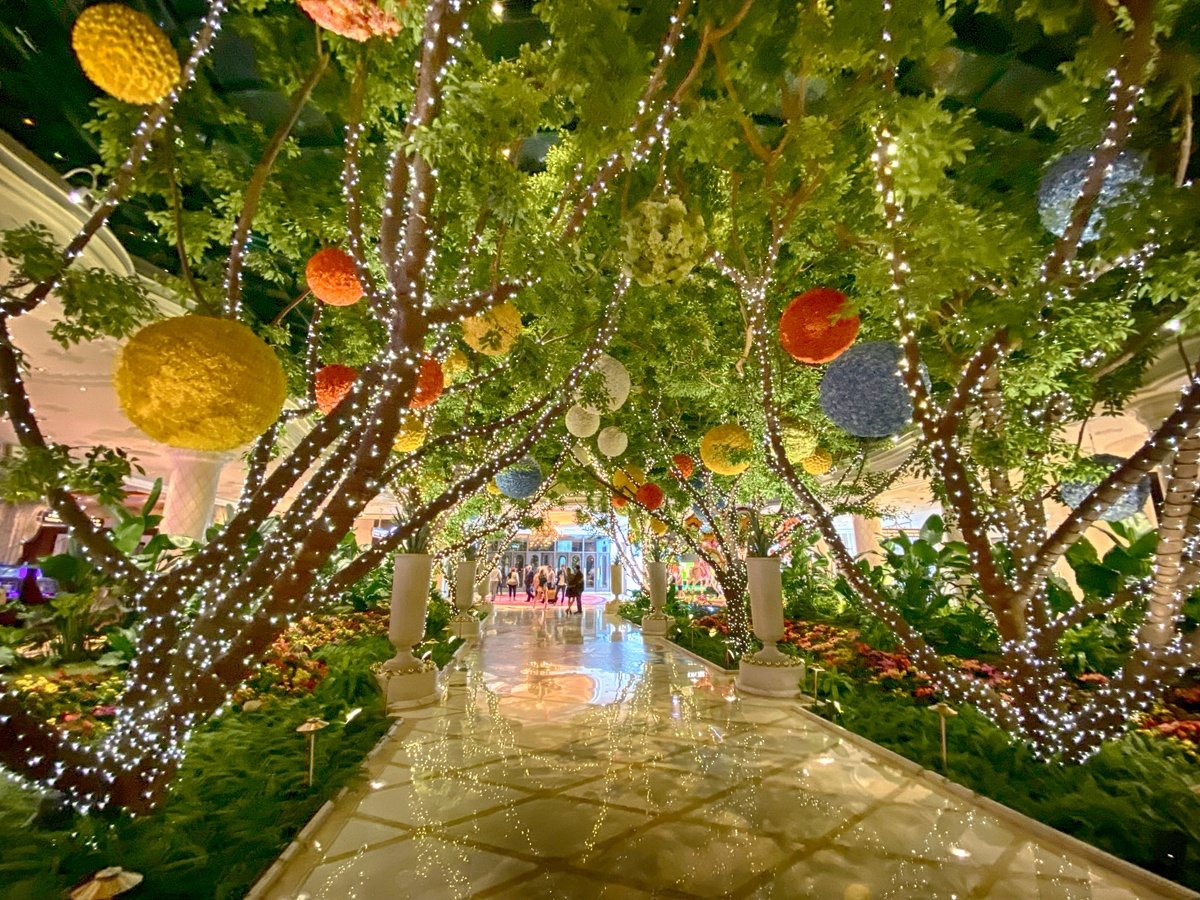 Louis Vuitton Opens at Wynn Las Vegas With Luxe Gaming Trunks and Outdoor  Garden VIP Rooms