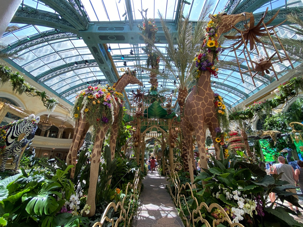 Bellagio Conservatory's Autumn 2019 Display “Indian Summer” Featuring  Preserved Roses - Jet Fresh Flower Distributors