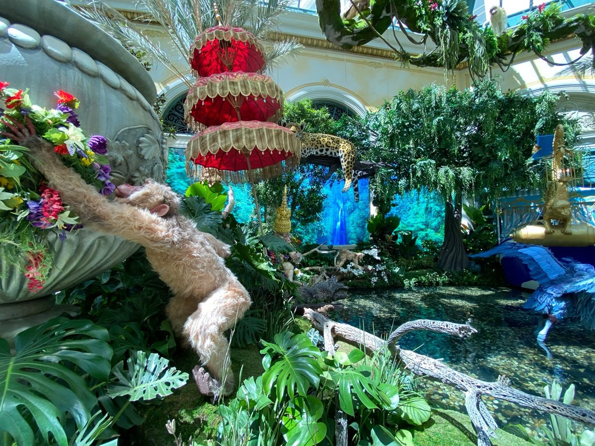 Bellagio Conservatory's Autumn 2019 Display “Indian Summer” Featuring  Preserved Roses - Jet Fresh Flower Distributors