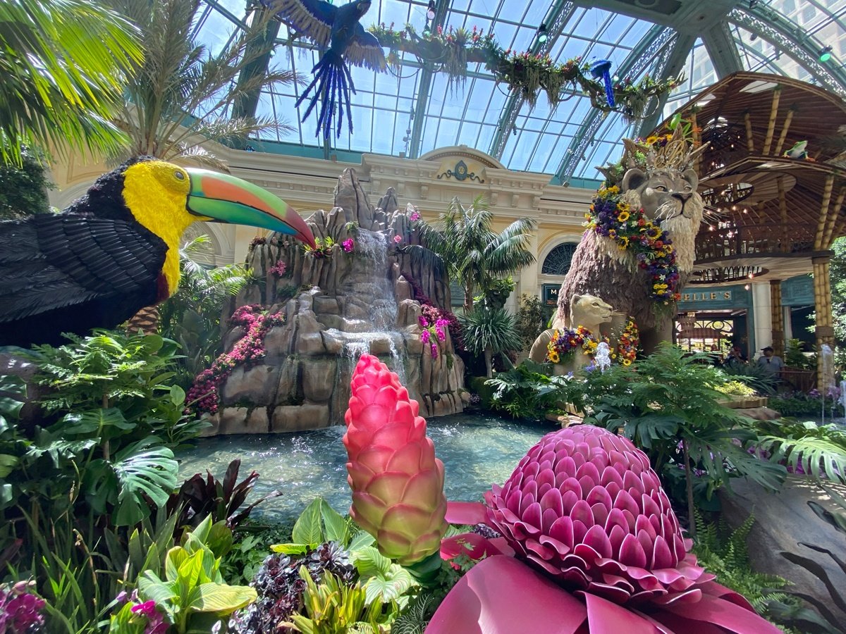 Bellagio Conservatory's Autumn 2019 Display “Indian Summer” Featuring  Preserved Roses - Jet Fresh Flower Distributors