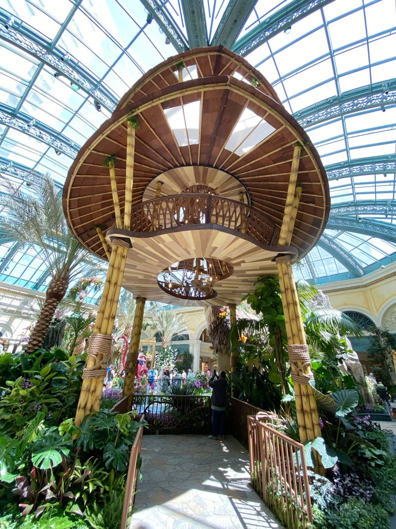 Bellagio Conservatory's Autumn 2019 Display “Indian Summer” Featuring  Preserved Roses - Jet Fresh Flower Distributors