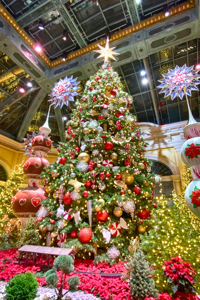 Bellagio Conservatory Christmas Display