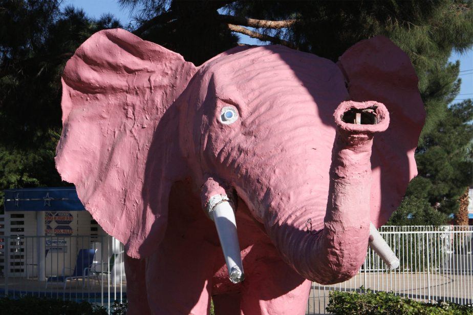Diamond Inn Motel Closes, Future of Beloved Pink Elephant in Jeopardy