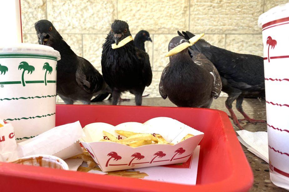 Big-Ass In-N-Out Coming to BLVD and Why You Should Stop Whining About the Fries