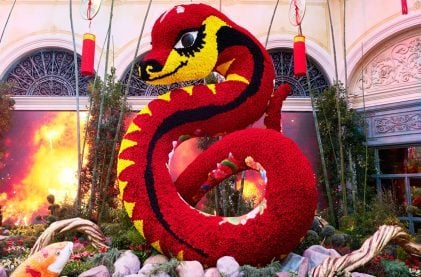 Bellagio Conservatory Whips Up Visual Feast for Chinese New Year