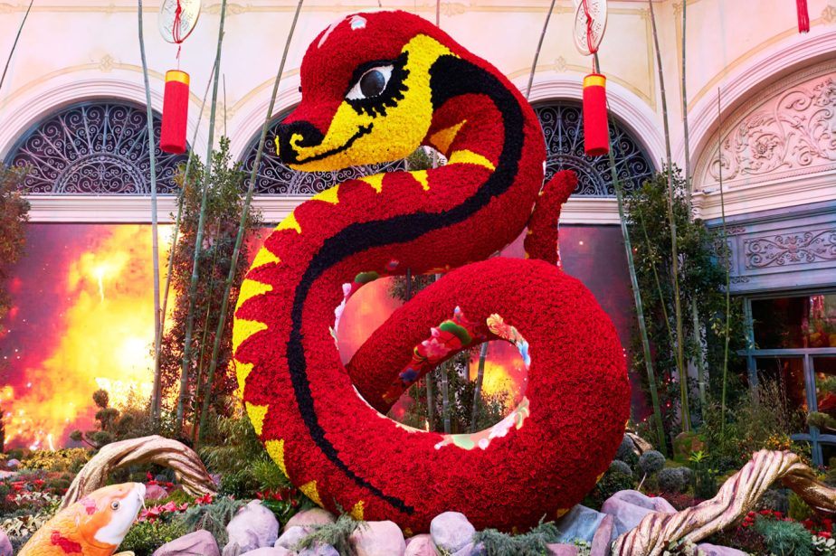 Bellagio Conservatory Whips Up Visual Feast for Chinese New Year