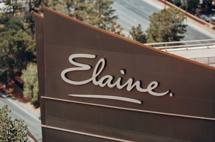 Elaine Wynn, Wife of Disgraced Vegas Mogul Steve Wynn, Dies Suddenly