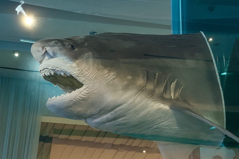 Palms Cleans House: Three Restaurants and Lounge to Close