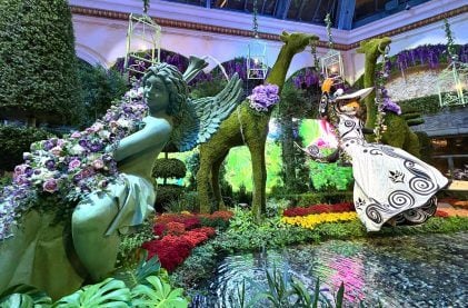 Bellagio Conservatory’s Summer Display is Plum Loco