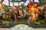 Bellagio Conservatory Offers “Golden Hour” and Watering Hole Lounge
