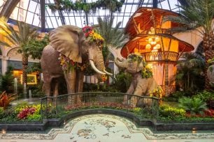 Bellagio Conservatory Offers “Golden Hour” and Watering Hole Lounge