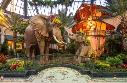 Bellagio Conservatory Offers “Golden Hour” and Watering Hole Lounge