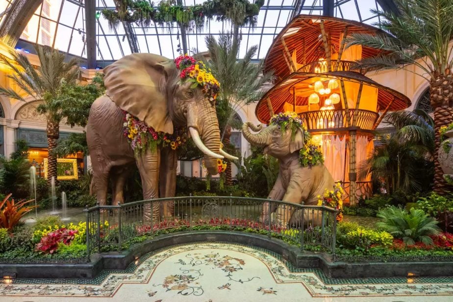 Bellagio Conservatory Offers “Golden Hour” and Watering Hole Lounge