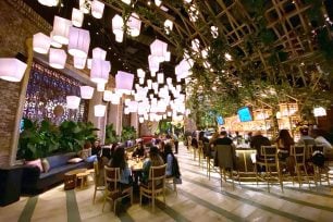 Lotus of Siam and Naxos Are Out at Red Rock Resort, Drama Level: Sublime